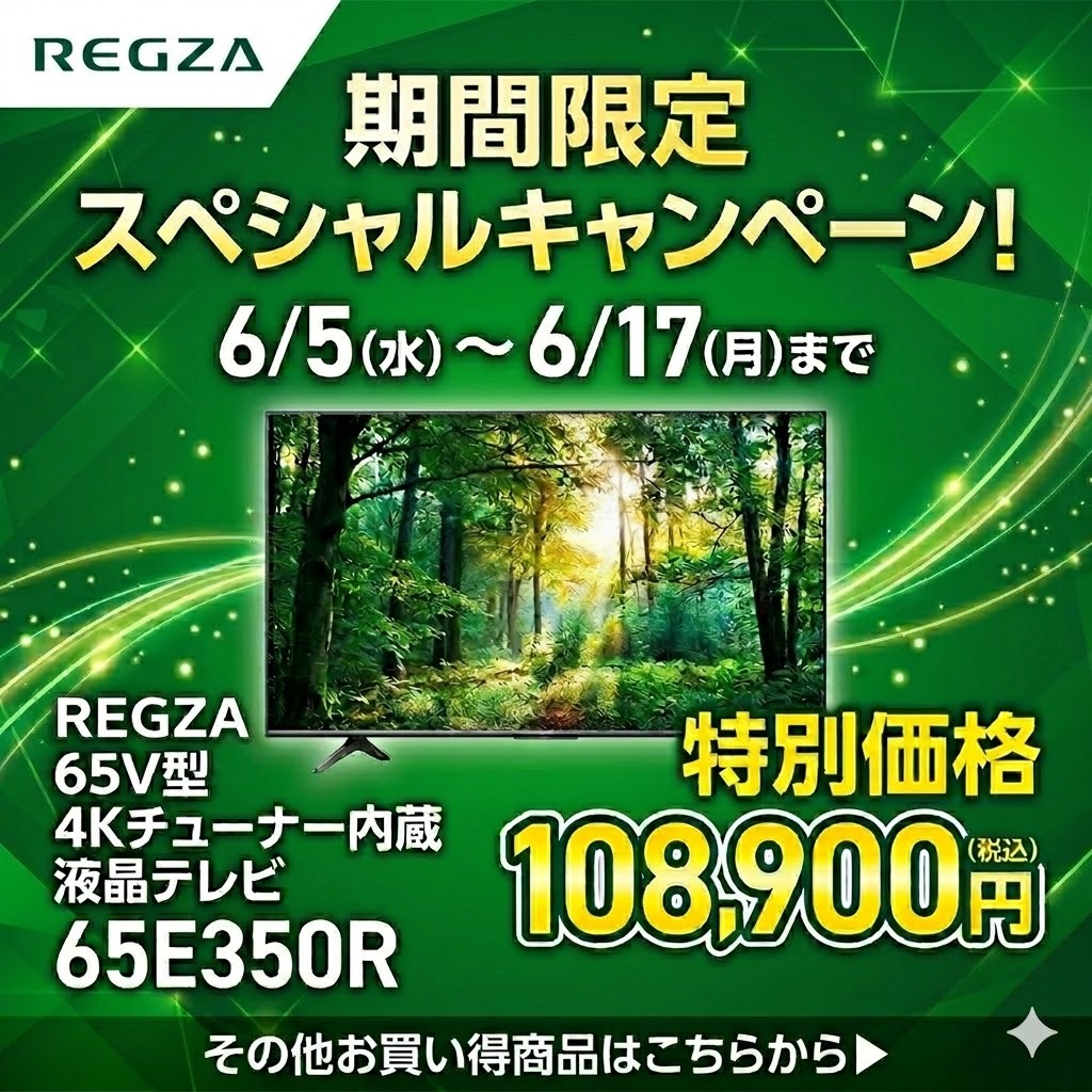 【6/5～6/17まで】REGZA E350Rシリーズが期間限定価格