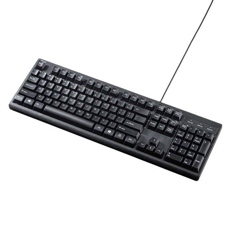 サンワサプライ SANWA SUPPLY 英語PS/2キーボード ブラック SKB-E5PBK