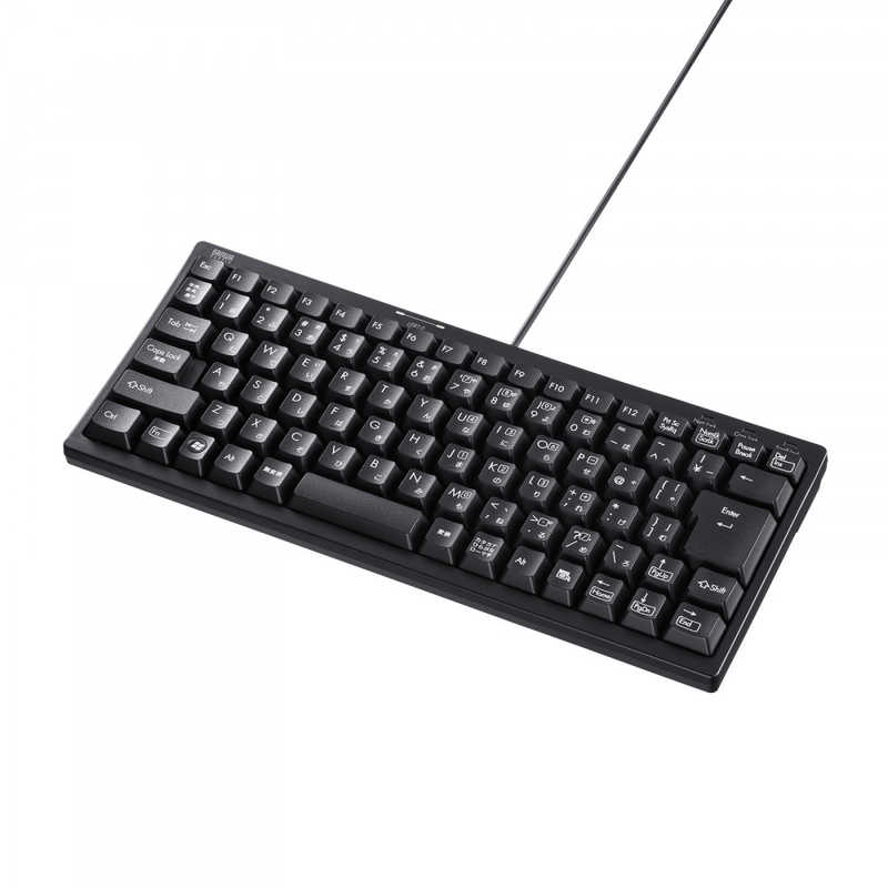 サンワサプライ?SANWA?SUPPLY?USBハブ付コンパクトキーボード SKB-KG3UH2BK