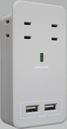 ファーゴ SATI COLOR サティカラー AC4個口 USB 2ポート 4.2A ライトグレー CT221GY