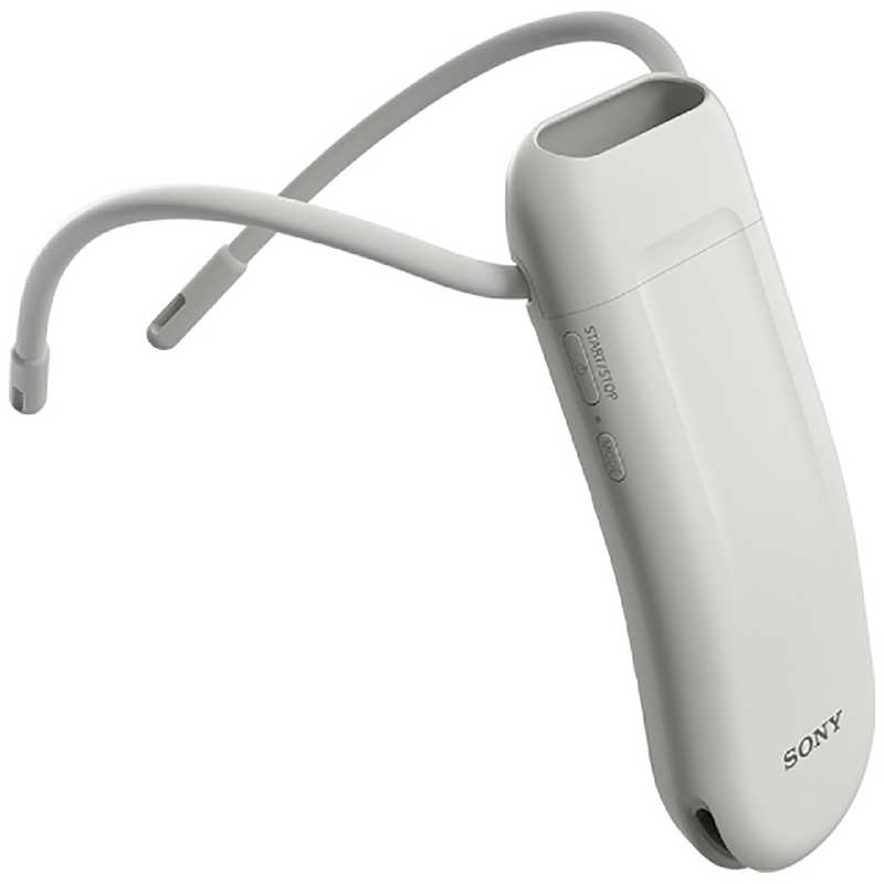 ソニー SONY ウェアラブルサーモデバイス REON POCKET 6 ライトグレー RNPK-6