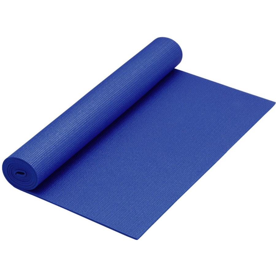 ハタチ HATACHI ストレッチマット ケース付 厚手 6mm 専用ケース付 NH5600