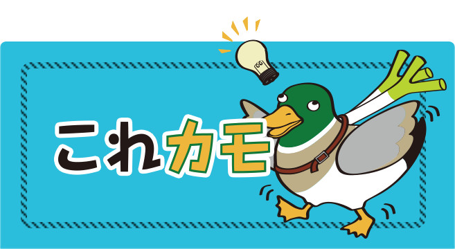 カクダイ KAKUDAI ガオナ GAONA これカモ フックフィットシャワーホース 2.3m アダプター7個付 ホワイト GA-FK052