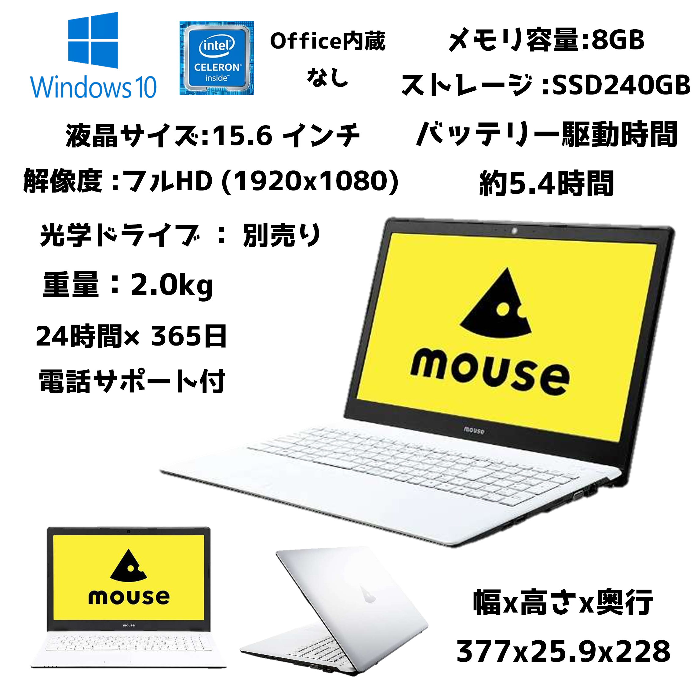 mouse