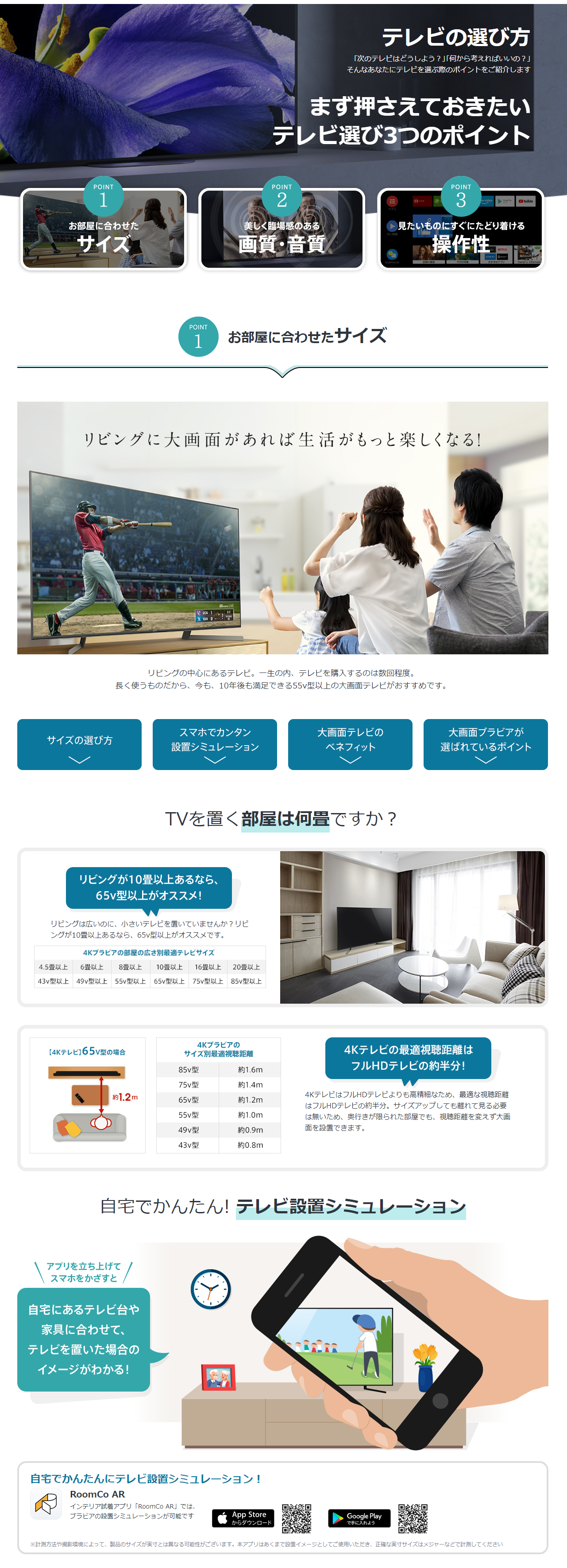 SONY 大画面１