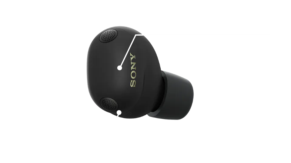Wind Noise Reduction