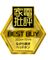 Headphone Award