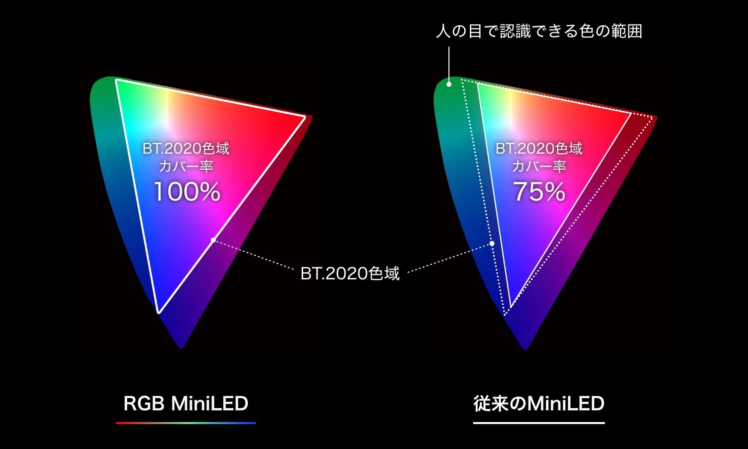 BT.2020 広色域